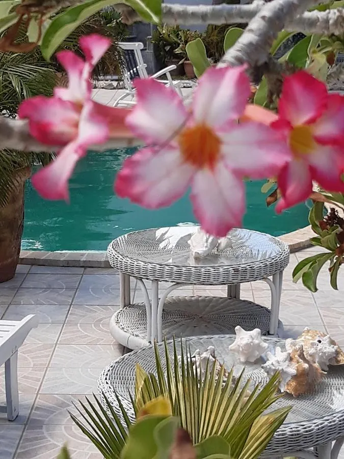 Aruba Harmony'S Boutique Hotel & Apartments Oranjestad Aruba
