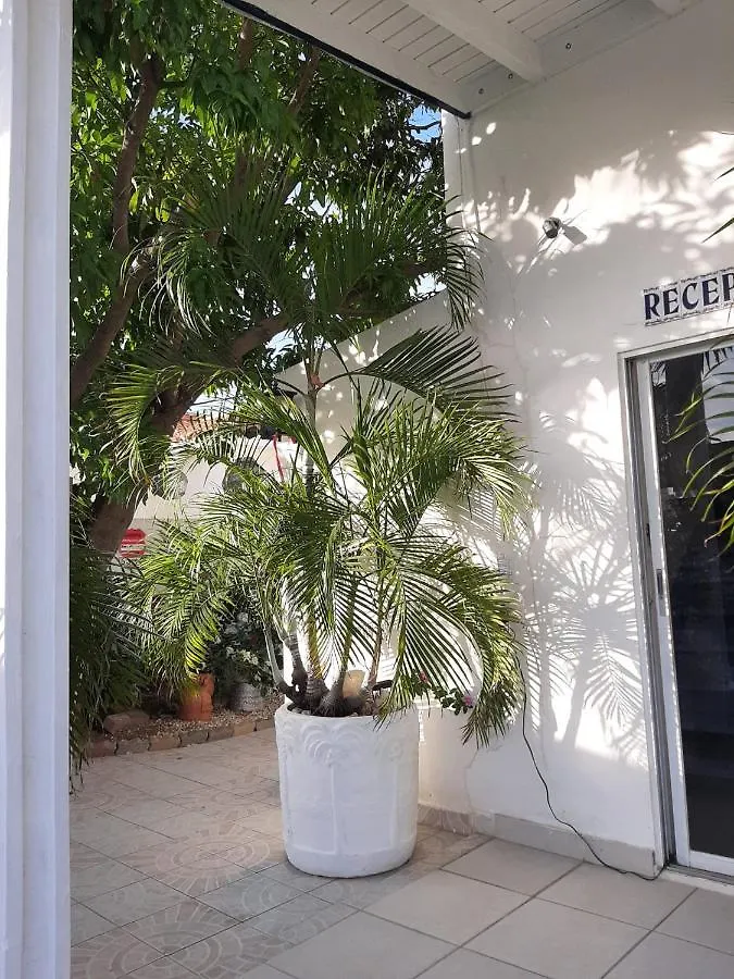 Aruba Harmony'S Boutique Hotel & Apartments Oranjestad 0*,  Aruba
