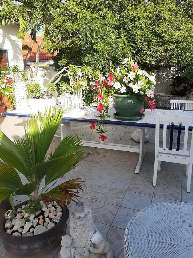 Aruba Harmony'S Boutique Hotel & Apartments Oranjestad