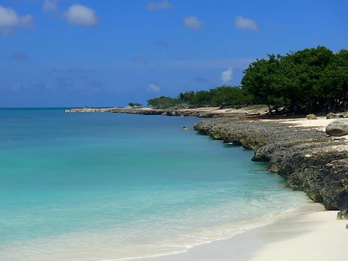 Aruba Harmony'S Boutique Hotel & Apartments Oranjestad