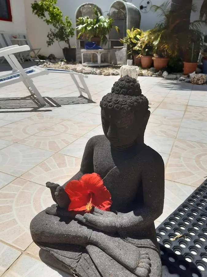 Aruba Harmony'S Boutique Hotel & Apartments Oranjestad